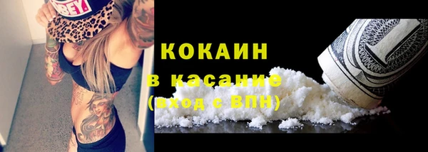 сатива Баксан