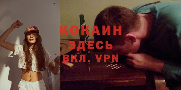 сатива Баксан