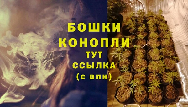 сатива Баксан