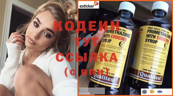 гашик Балахна