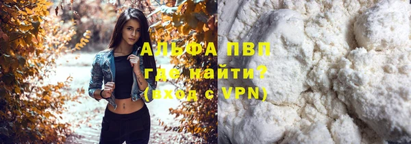 гашик Балахна