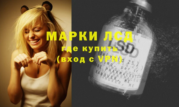 гашик Балахна