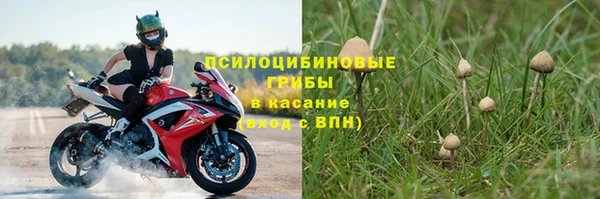 сатива Баксан