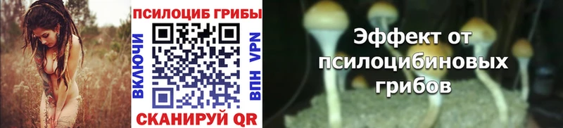 shop наркотические препараты  Приозерск  Псилоцибиновые грибы Cubensis  купить наркоту 